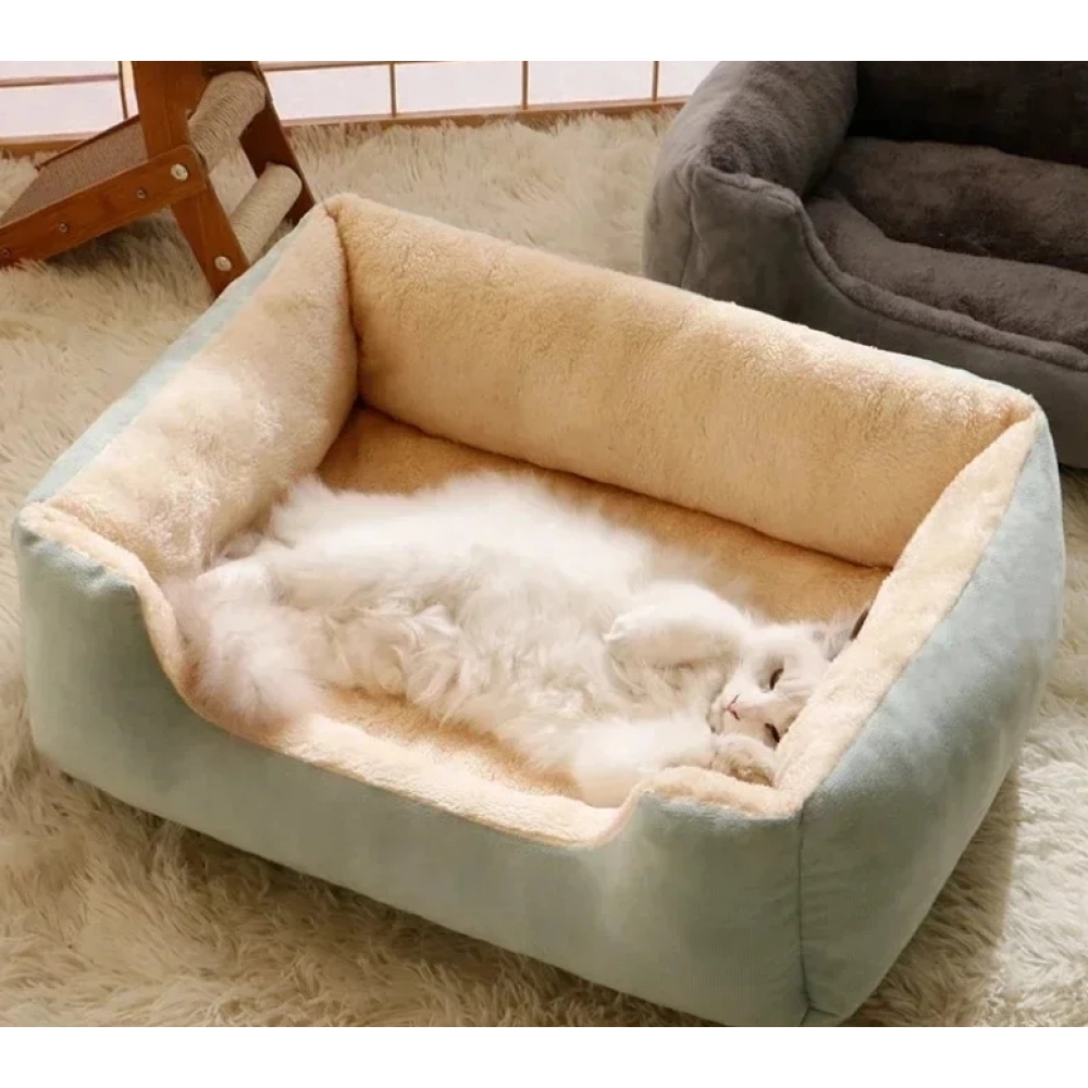 Cats Bed Dog Mat Beds Pet Products Cushions Pet Puppy Accessories Dog All Houses Supplies Things Habitats Basket House Cat Beds