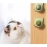 Catnip Balls Funny Lickable Cat Snack Catnip Balls Kitten Playing Chewing Cleaning Teeth Toy For Small Medium Cats pet supplies